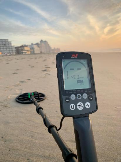 Minelab Equinox 800 Dedektör
